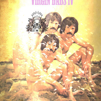 VIRGIN DADS IV cover art