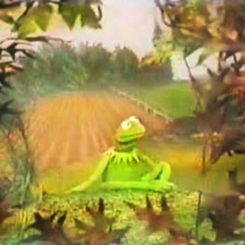 Its Not That Easy Being Green - 2009 cover art