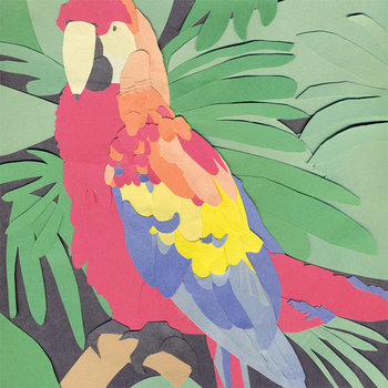 Parrot Flies cover art