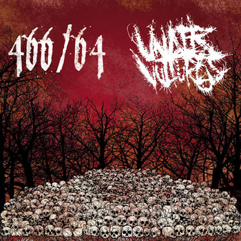 Under Vultures + 466/64 split cover art
