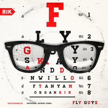 Fly Guys cover art