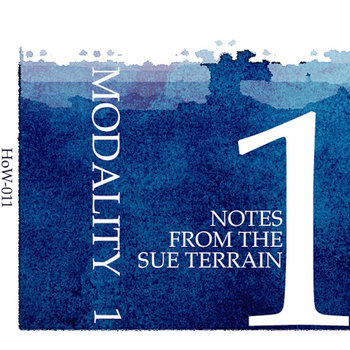 Notes From the Sue Terrain cover art