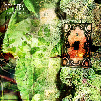 Lucidity/Lividity cover art