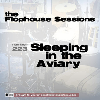 #223: Sleeping in the Aviary cover art