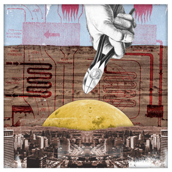 The Snowfields cover art