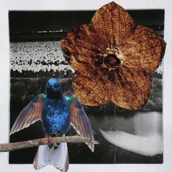 BrushStrokes cover art