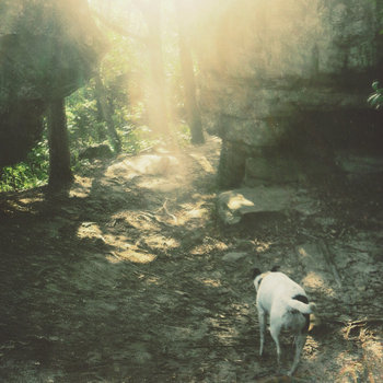 Stifled Spirit cover art
