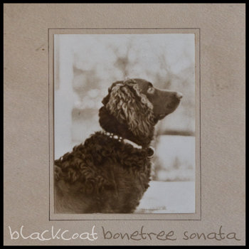 Bonetree Sonata EP cover art