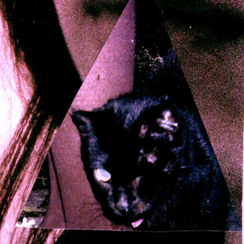 Split on ClanDestine Rec. cover art