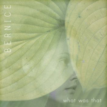 what was that cover art