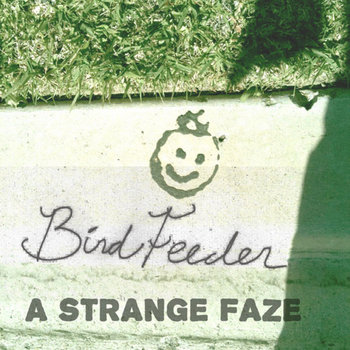 A Strange Faze cover art