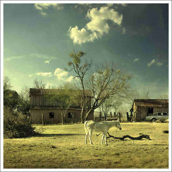 Horse Crumbs cover art