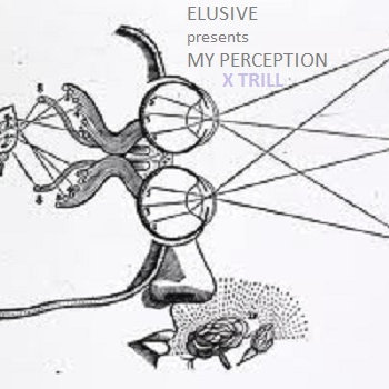 MY PERCEPTION X TRILL cover art