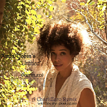 CharliZero's remix on Amin Tobin record "Untitled", named "Fly High" FREE DOWNLOAD ONLY. cover art