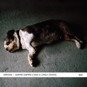 Arrows/Empire! Empire! (I Was a Lonely Estate) split 7" cover art