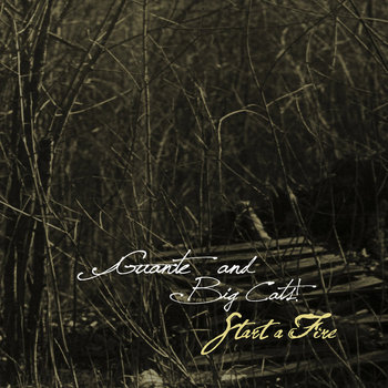 Start a Fire cover art
