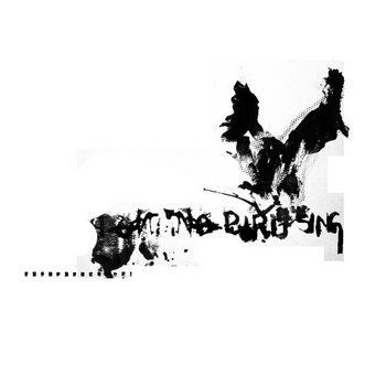 No Bird Sing cover art