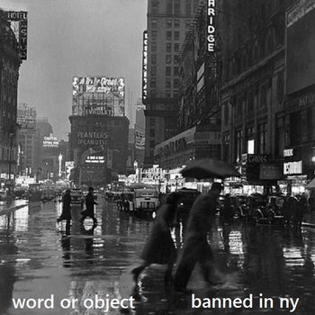 banned in ny cover art