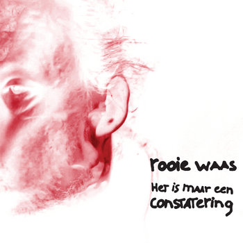 Het is maar een constatering cover art