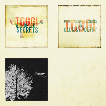 Toggi - Smart Bundle cover art