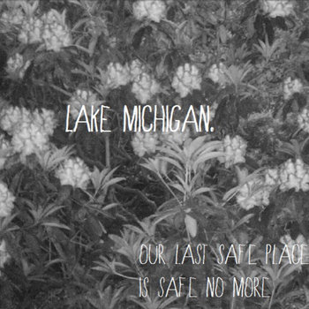 Our Last Safe Place Is Safe No More cover art