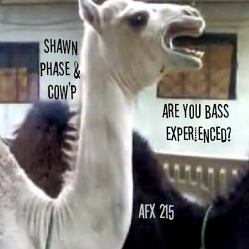 shawn phase and cow'p present are you bass experienced cover art