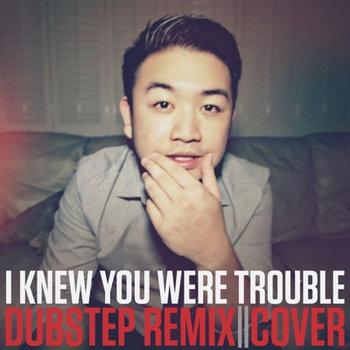 I Knew You Were Trouble (Dubstep Remix) cover art