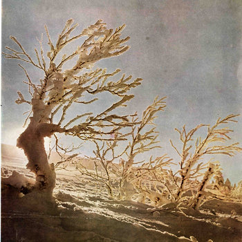 Under Snow cover art