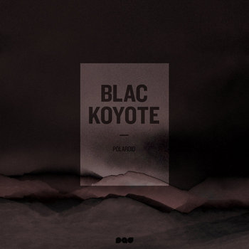Polaroid (single) cover art