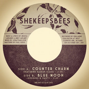 SKB-007 7" Record cover art
