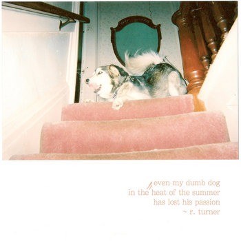 even my dumb dog in the heat of the summer has lost his passion cover art