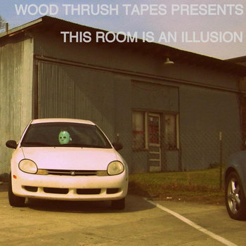 This Room Is An Illusion: A Wood Thrush Tapes Compilation cover art