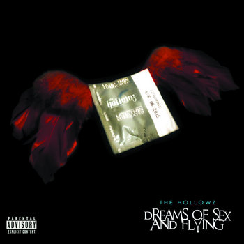 Dreams Of Sex And Flying cover art