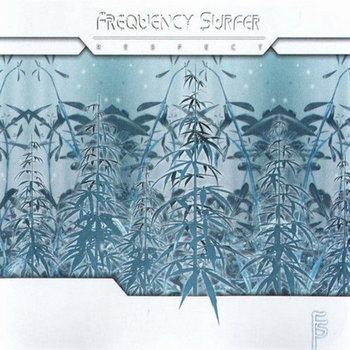 Respect - FREQUENCY SURFER - (Inpsyde Media) cover art
