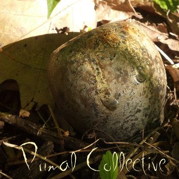 Lakewood Sessions cover art