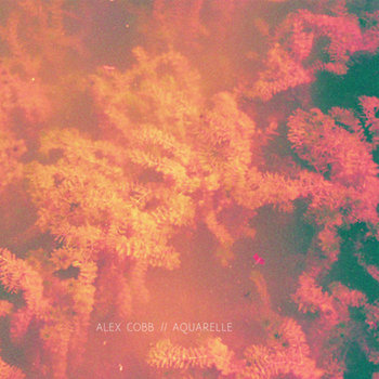 Split LP cover art