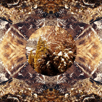 Downcast cover art