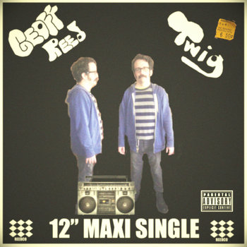 Twig 12" Single cover art