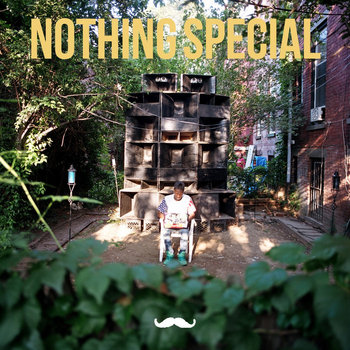 nothinG special. cover art