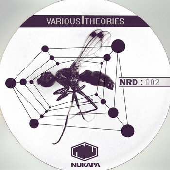 Various Theories cover art