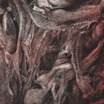 The Departed / Demoraliser Split cover art