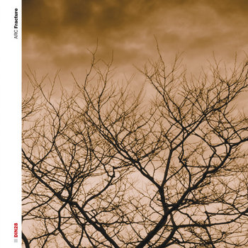 Fracture (DiN28) cover art