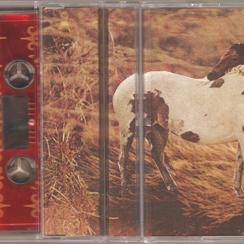 split (with Bedroom Bear) cover art