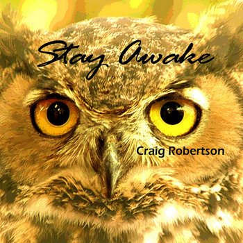 Stay Awake cover art