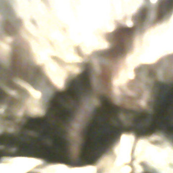 The Bit cover art