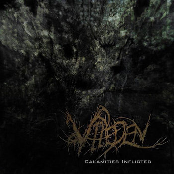 Calamities Inflicted cover art
