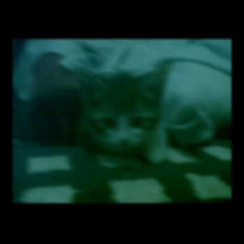 Ghost Cat (single) cover art