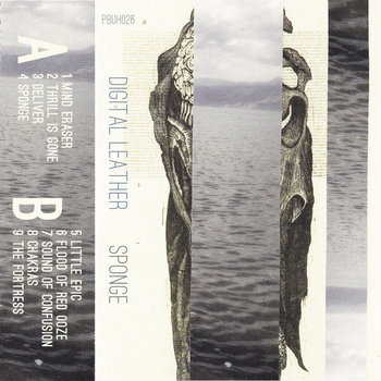 Sponge cover art