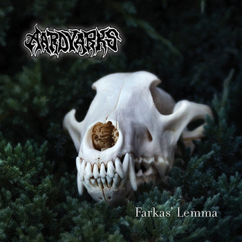 Farkas’ Lemma cover art