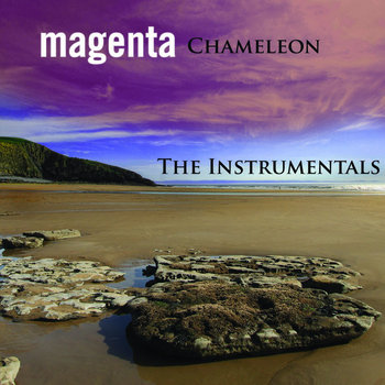 Chameleon : The Instrumentals cover art